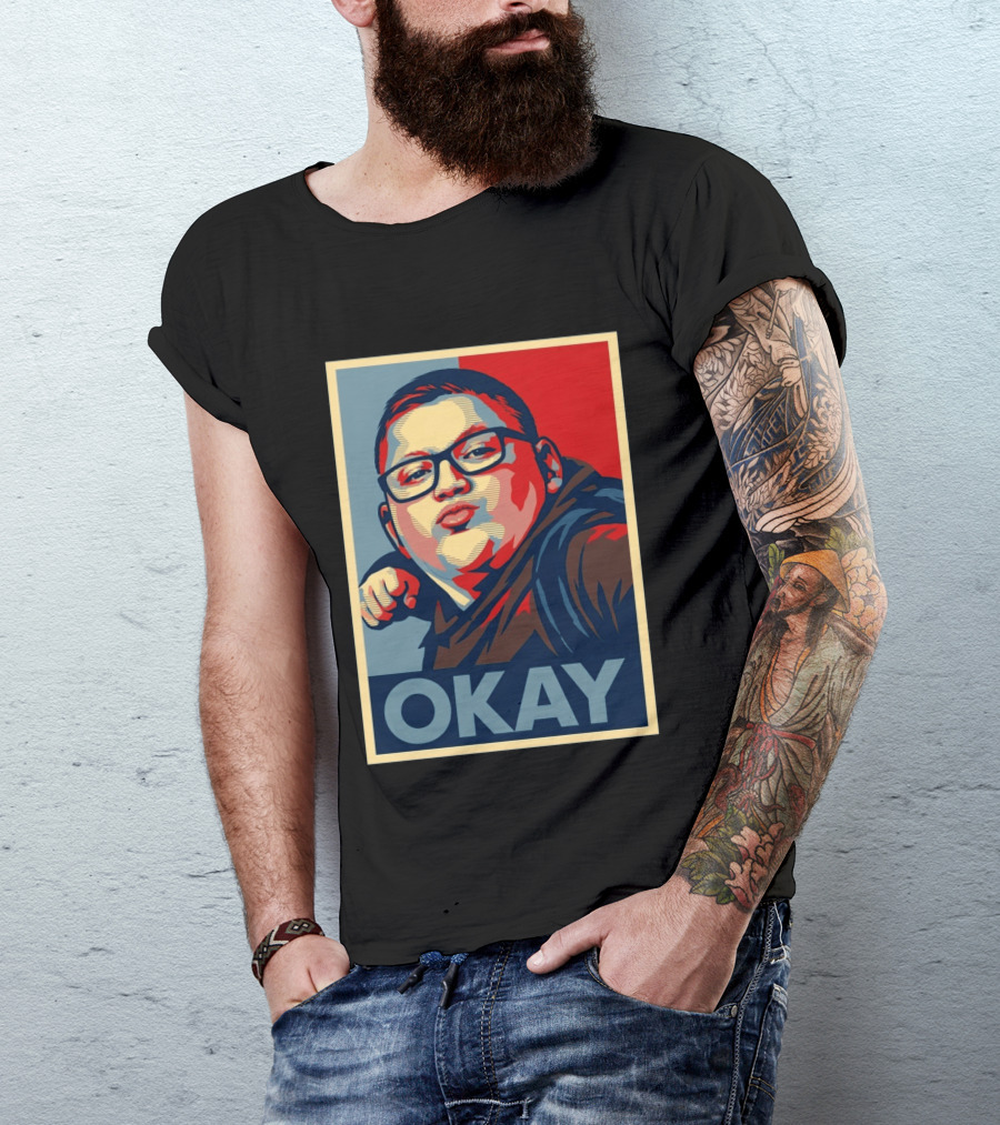 Okay Punch Kid Meme T-Shirt