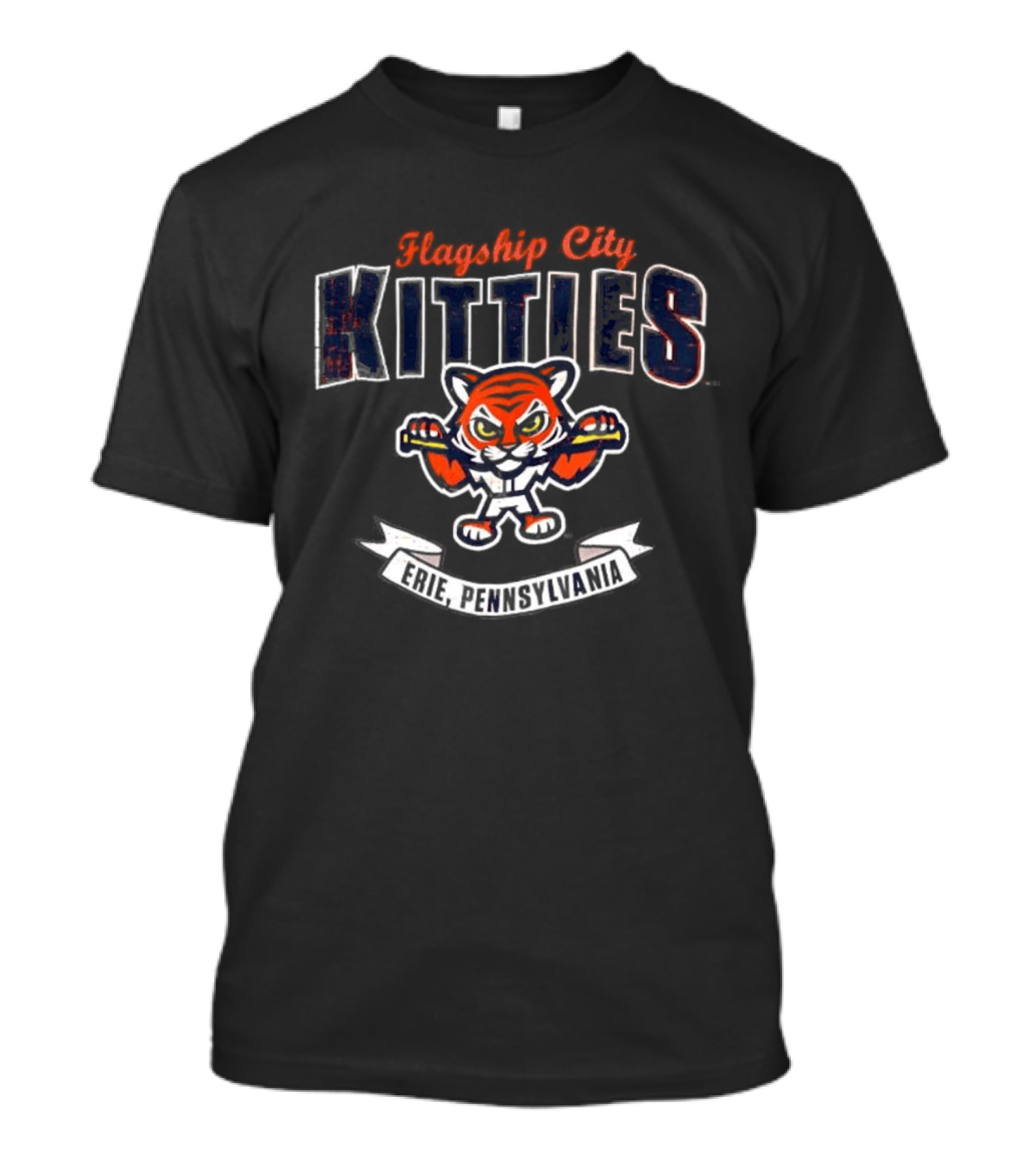 Flagship City Kitties Erie Pennsylvania Tiger Boxing T-Shirt