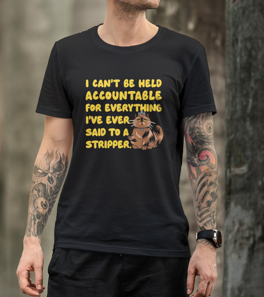 I Can't Be Held Accountable Cat Humor And Stripper T-Shirt