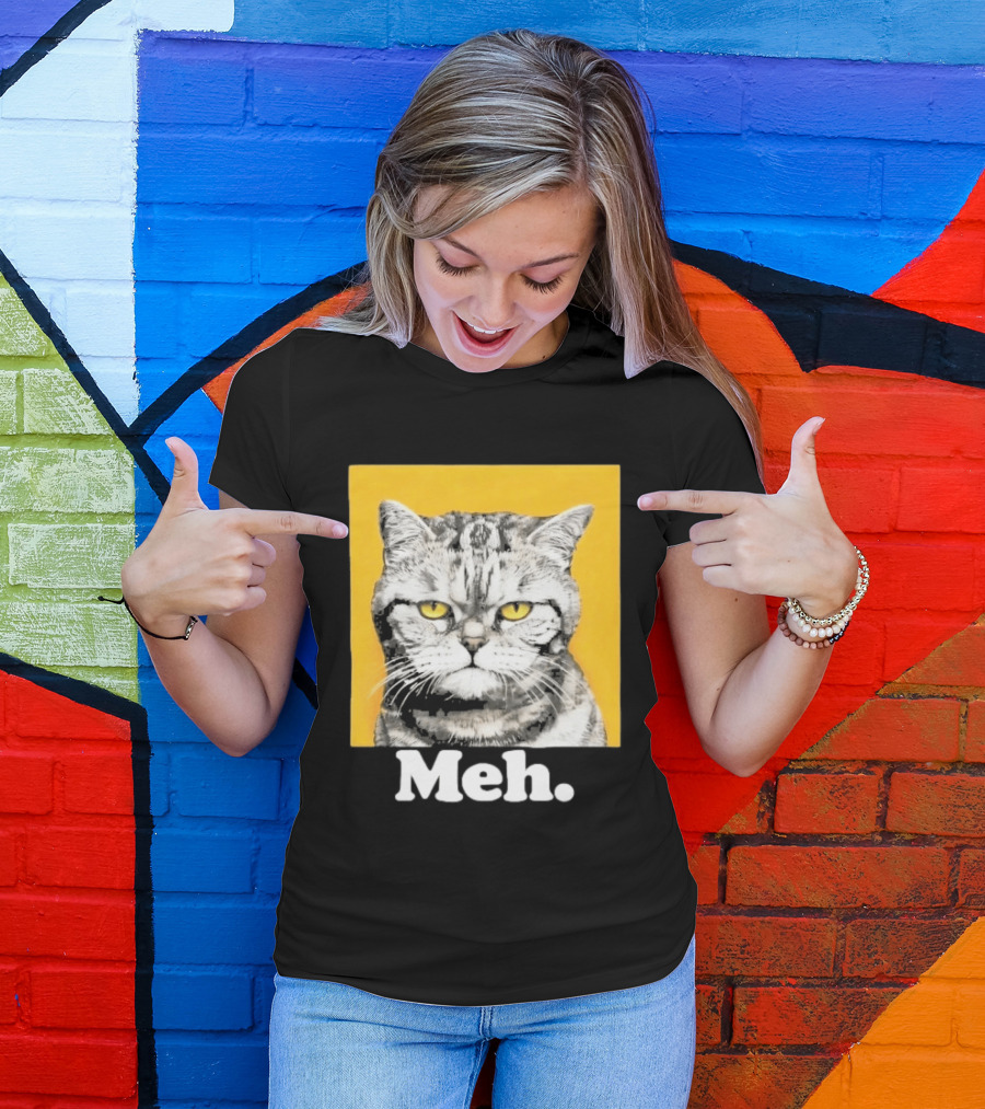 90 Day The Single Life Meh Cat T-Shirt