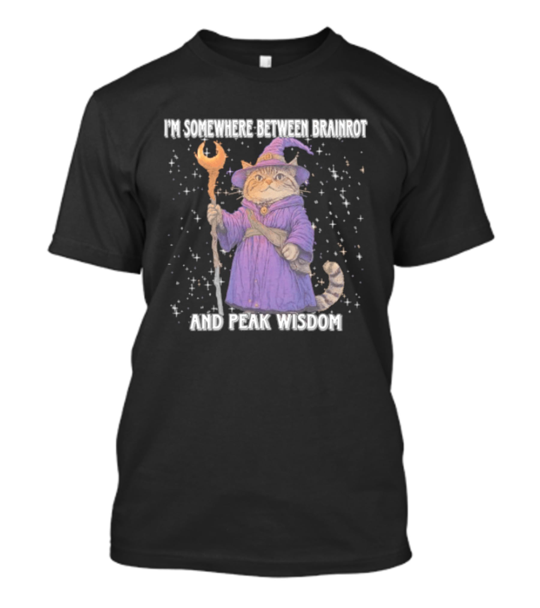 I'm Somewhere Between Brainrot And Peak Wisdom Cat Wizard T-Shirt