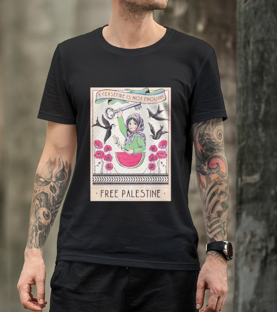 A Ceasefire Is Not Enough Free Palestine Sanction And Dismantle Israel End The Occupation Now T-Shirt