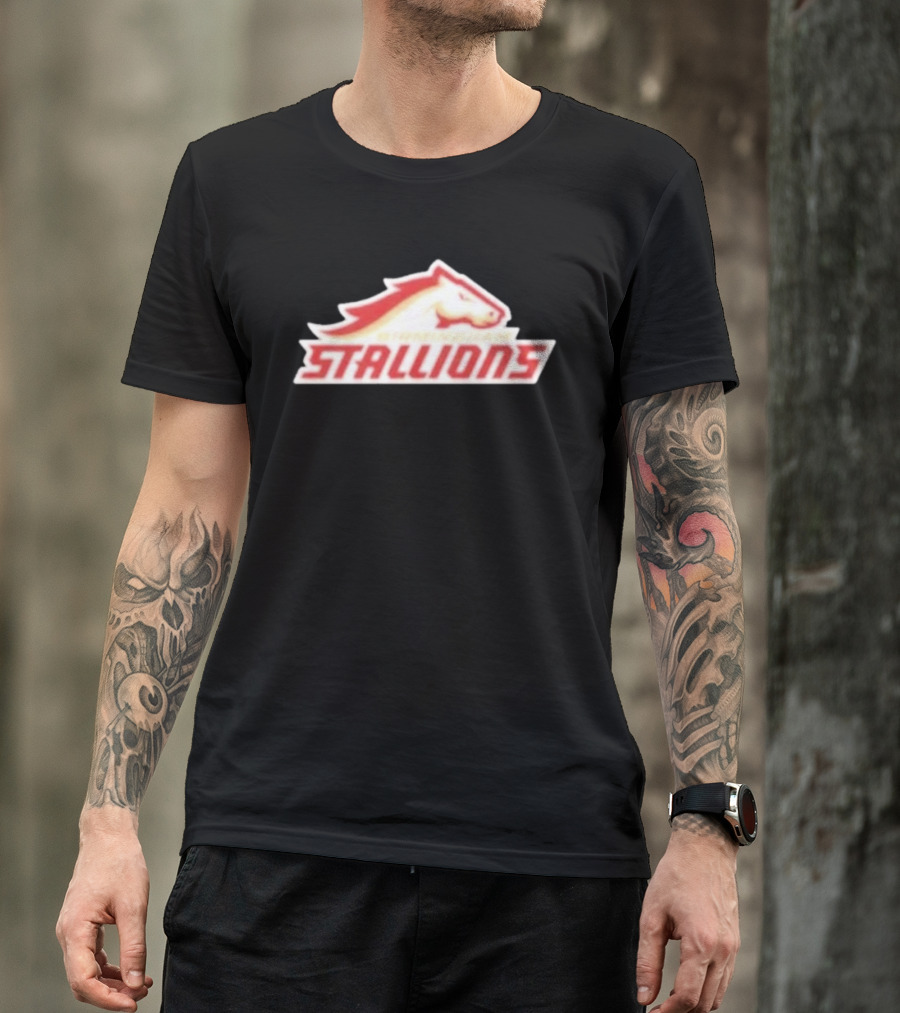 Mintzy Birmingham Stallions Team T-Shirt