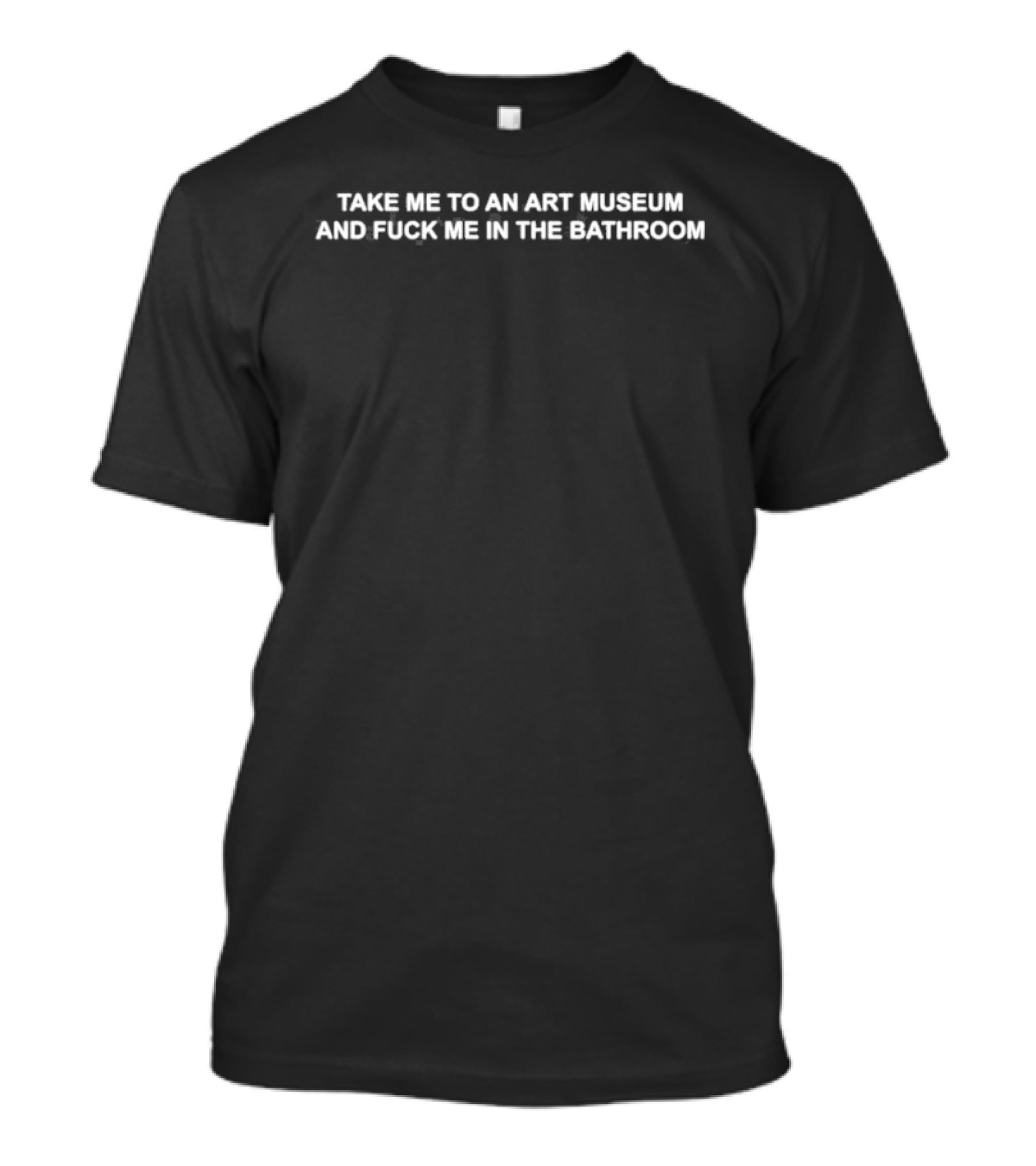 Take Me To An Art Museum And Fuck Me In The Bathroom T-Shirt