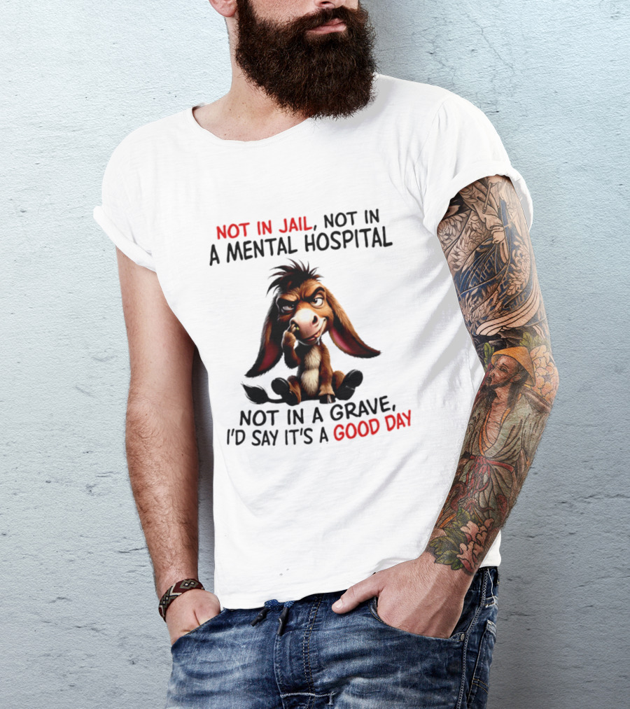 Donkey Not In Jail Not In A Mental Hospital Not In A Grave I'd Say It's A Good Day T-Shirt