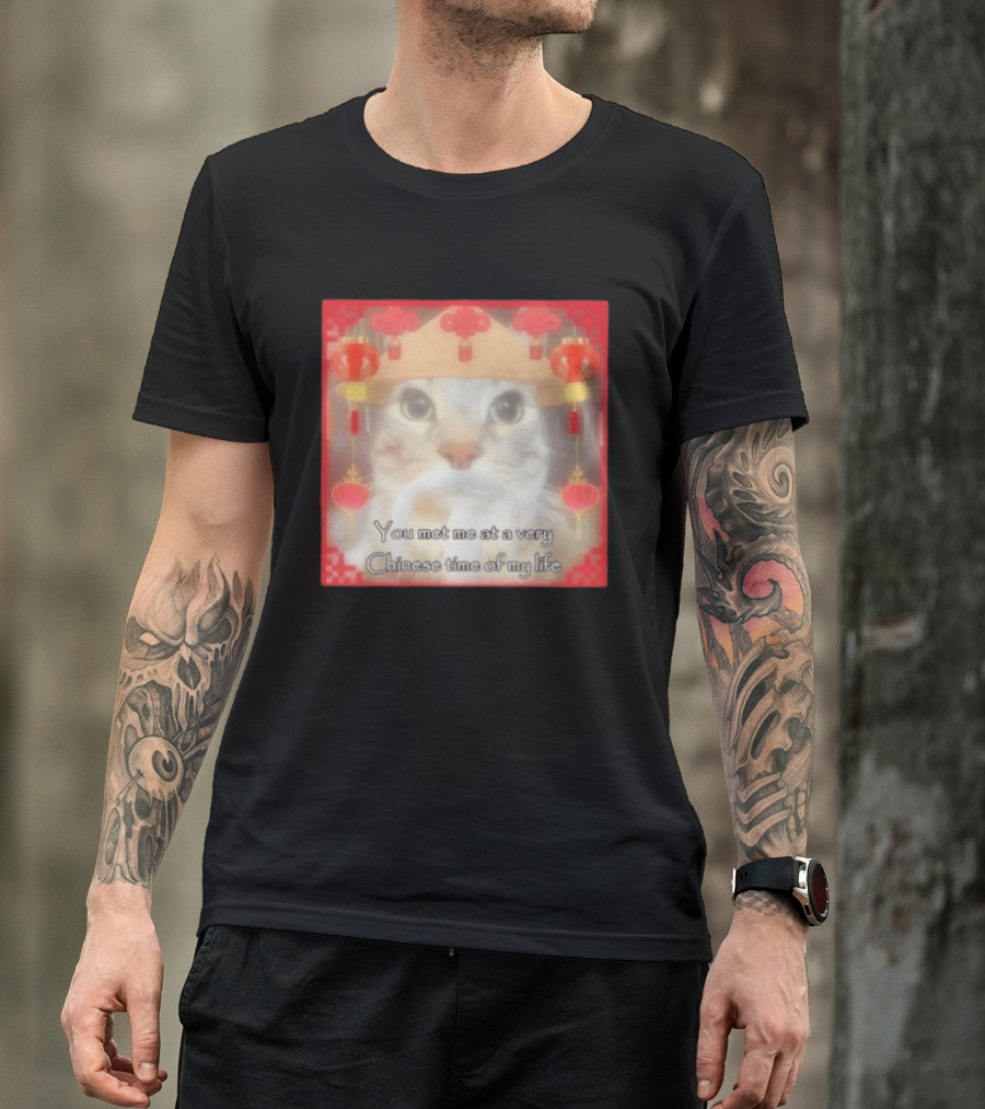 You Met Me At A Very Chinese Time Of My Life Cat Lanterns Hat T-Shirt