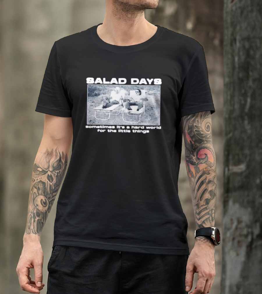 SALAD DAYS Sometimes It's A Hard World For The Little Things Vintage Lounge Chair Image T-Shirt