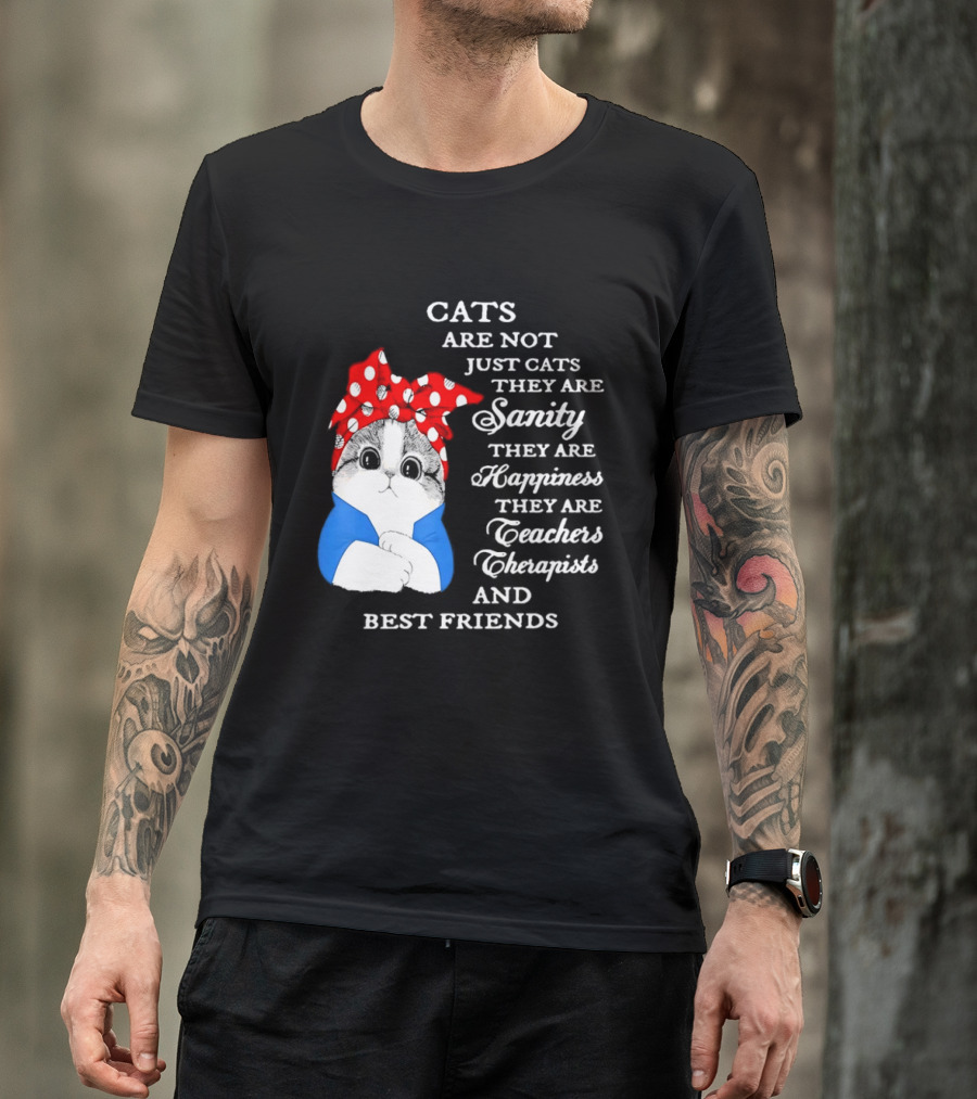 Cats Are Not Just Cats They Are Sanity Happiness Teachers Therapists Best Friends T-Shirt