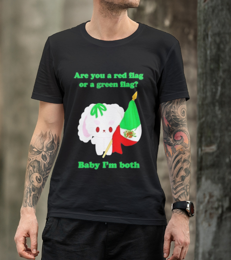 Nonomochi Mexico Flag Are You A Red Flag Or A Green Flag Cute Bunny Holding Mexican Flag T-Shirt