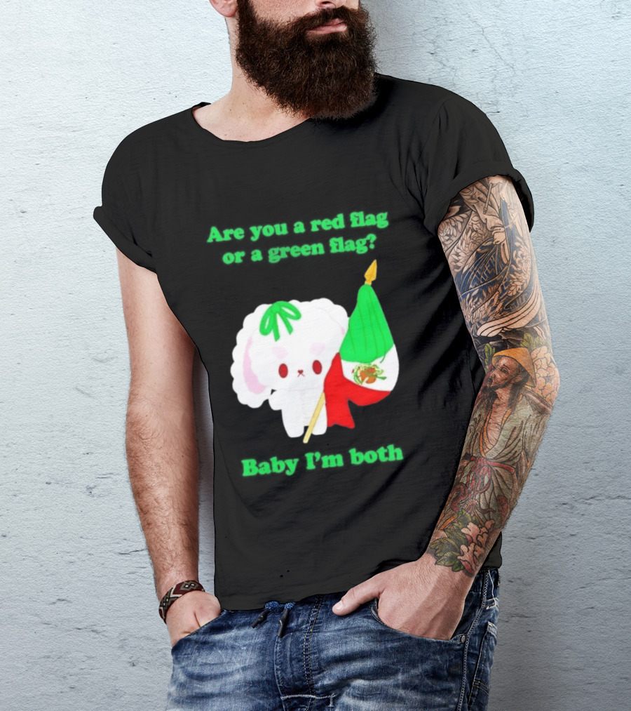 Nonomochi Mexico Flag Are You A Red Flag Or A Green Flag Cute Bunny Holding Mexican Flag T-Shirt