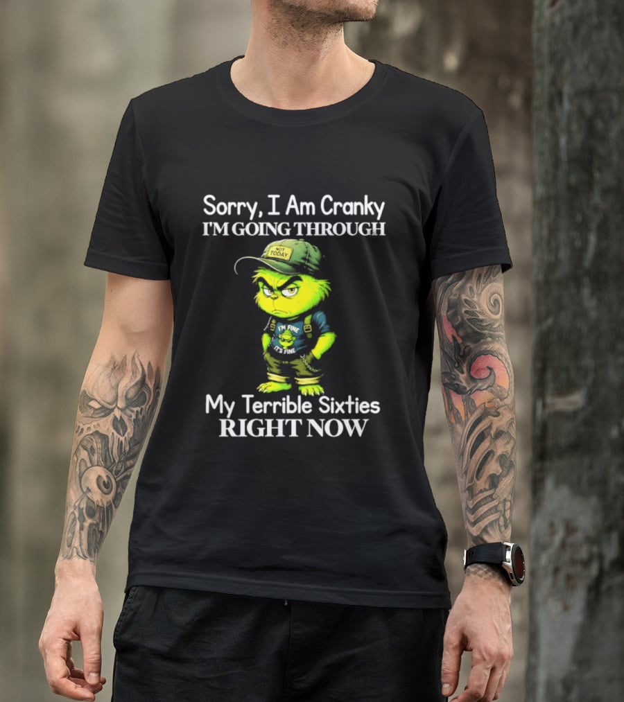 Sorry I Am Cranky I'm Going Through My Terrible Sixties Right Now T-Shirt