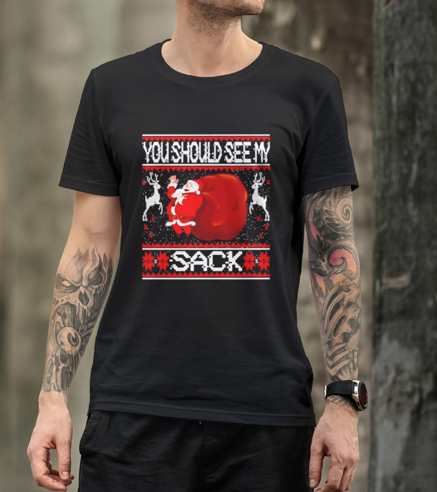 You Should See My Sack Santa Claus Ugly Christmas Reindeer Snowflakes T-Shirt