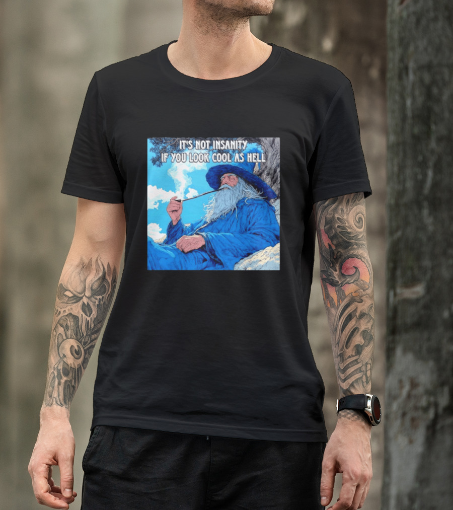 It's Not Insanity If You Look Cool As Hell Wizard Smoking Pipe T-Shirt