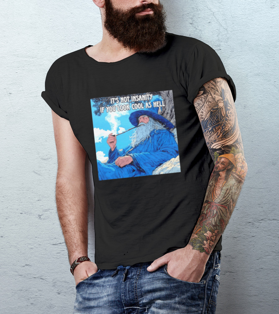 It's Not Insanity If You Look Cool As Hell Wizard Smoking Pipe T-Shirt