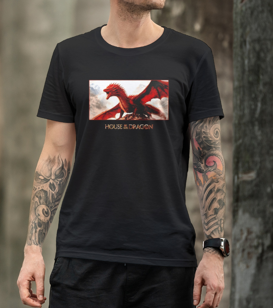 House Of The Dragon Caraxes War Memorial Mountains Scene T-Shirt