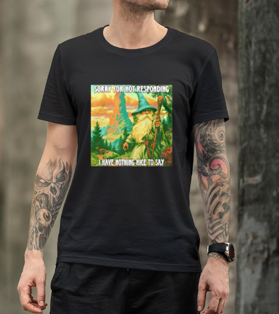 Sorry For Not Responding I Have Nothing Nice To Say Wizard Scene T-Shirt