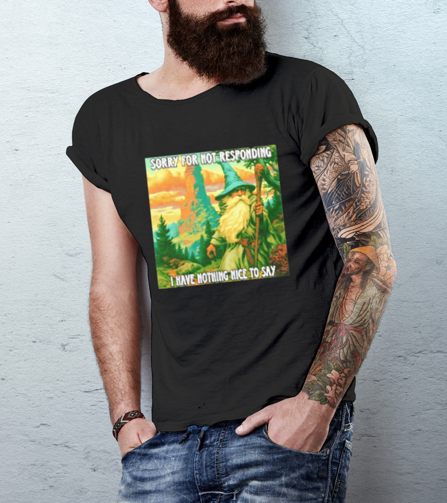 Sorry For Not Responding I Have Nothing Nice To Say Wizard Scene T-Shirt