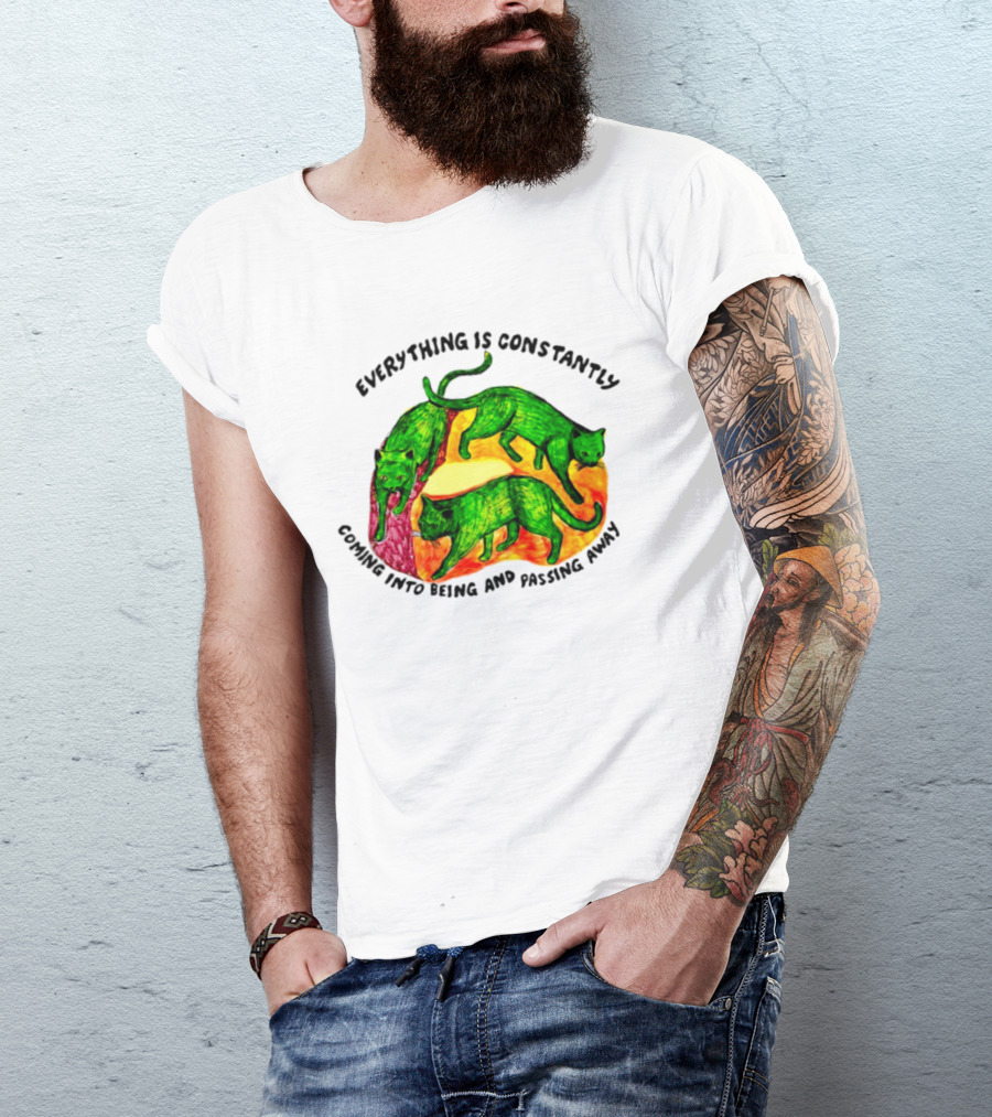 Everything Is Constantly Coming Into Being And Passing Away Cats Trio T-Shirt