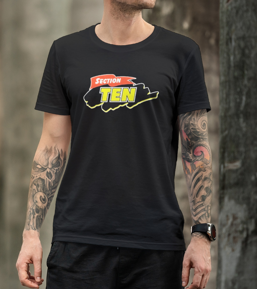 Section Ten Cartoon T-Shirt