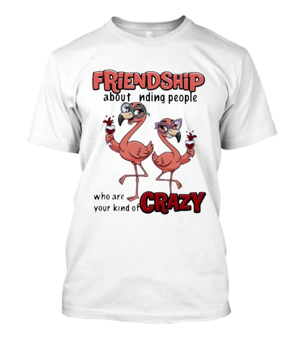 FRIENDSHIP About Finding People Who Are Your Kind Of CRAZY Flamingo Humor T-Shirt