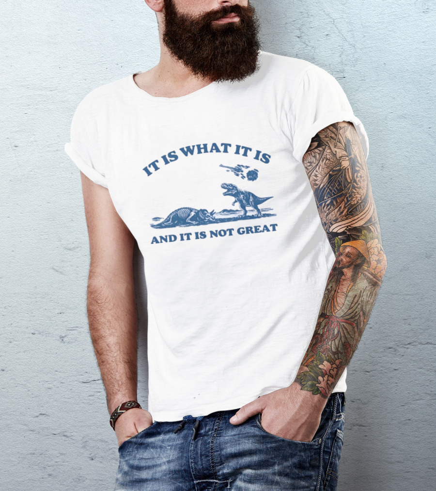 It Is What It Is Dinosaur And It Is Not Great T-Shirt