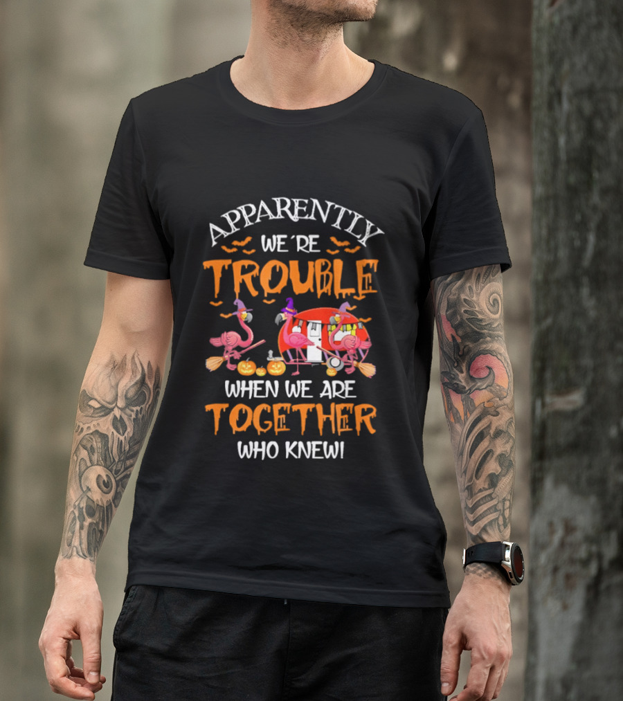 Apparently We're Trouble Flamingos Halloween Together Who Knew T-Shirt