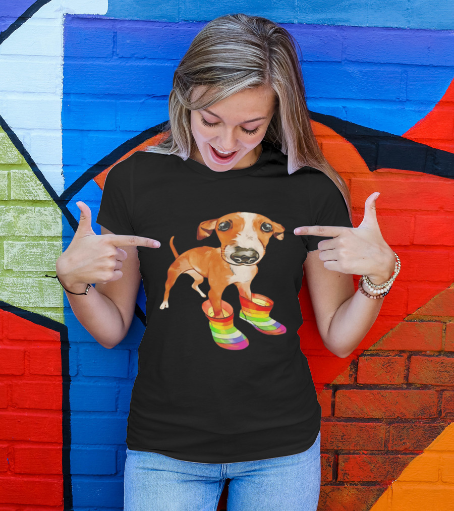 Doggie Rainbow Rainboots Puppy In Colorful Boots T-Shirt