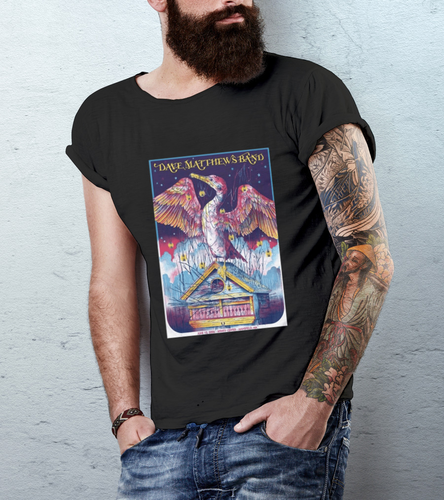 Dave Matthews Band June 19 2026 Xfinity Center Mansfield MA Bird Lanterns T-Shirt