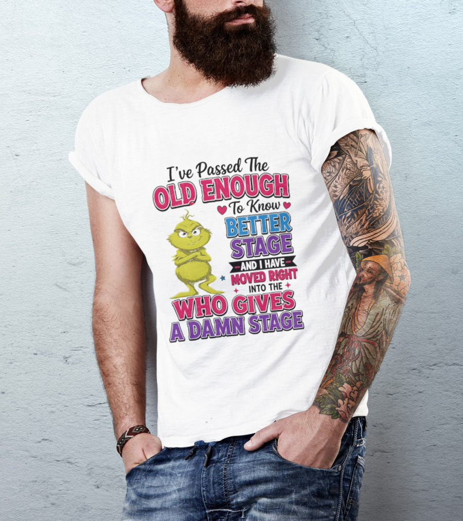 Passed The Old Enough To Know Better Moved Right Into The Who Gives A Damn Stage T-Shirt