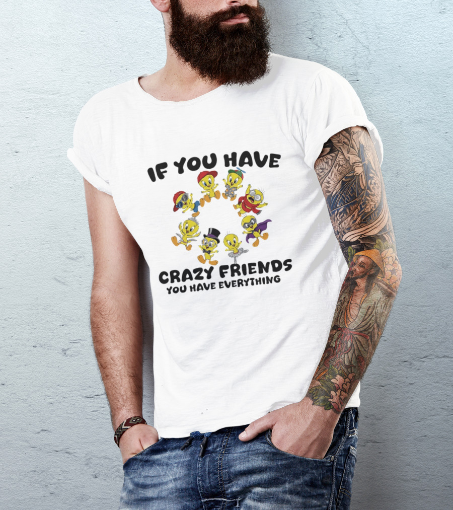 If You Have Crazy Friends You Have Everything Tweety Bird Characters T-Shirt