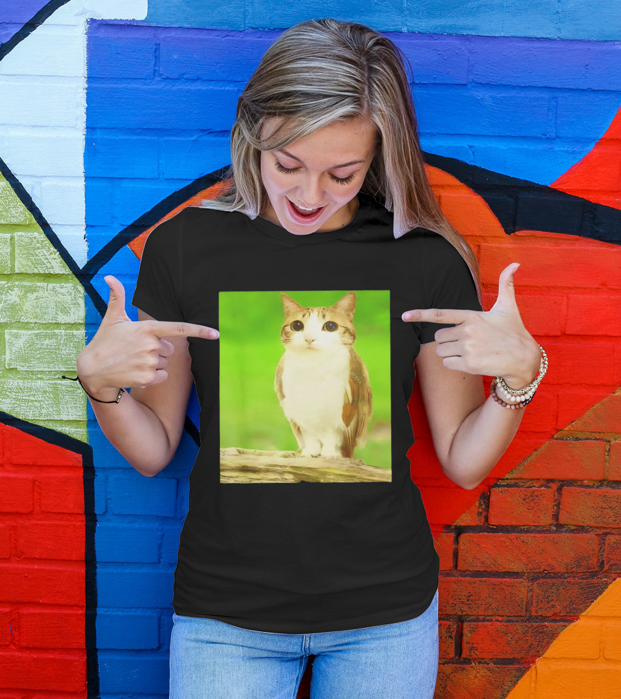 Cat Owl Hybrid Animal Mashup Creature Fusion T-Shirt