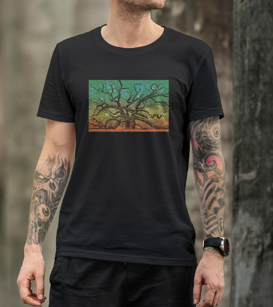 Wilco Sky Stars Charleston July 2026 T-Shirt