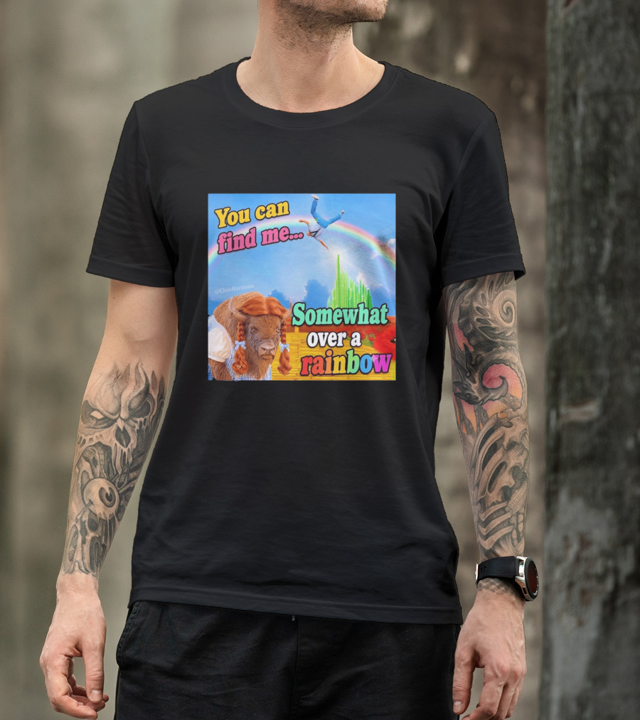 You Can Find Me Somewhat Over A Rainbow Bison Meme T-Shirt