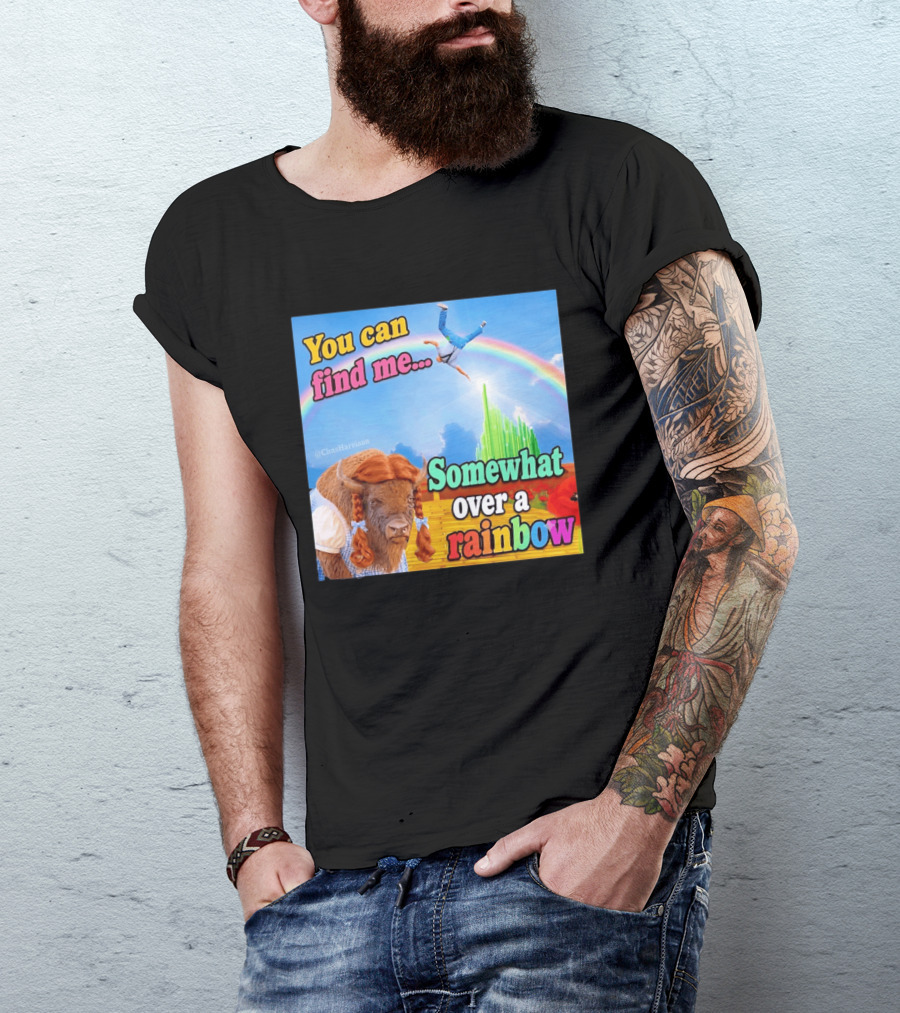 You Can Find Me Somewhat Over A Rainbow Bison Meme T-Shirt
