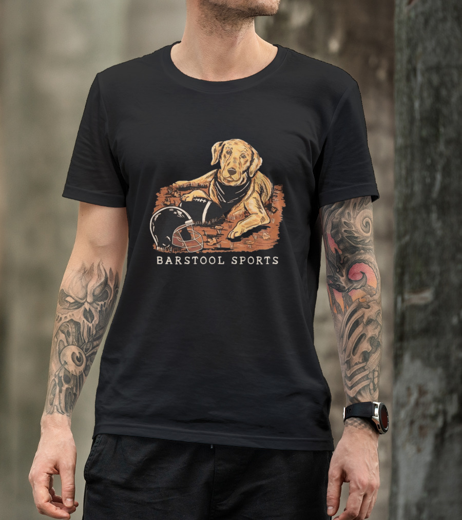 Barstool Sports Fall Football Dog With Helmet And Leaves T-Shirt