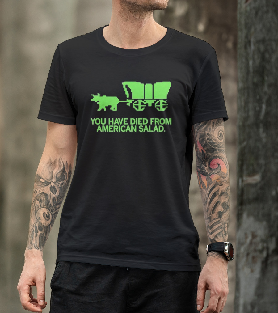 You Have Died From American Salad Ox Cart Retro Gaming Spoof T-Shirt