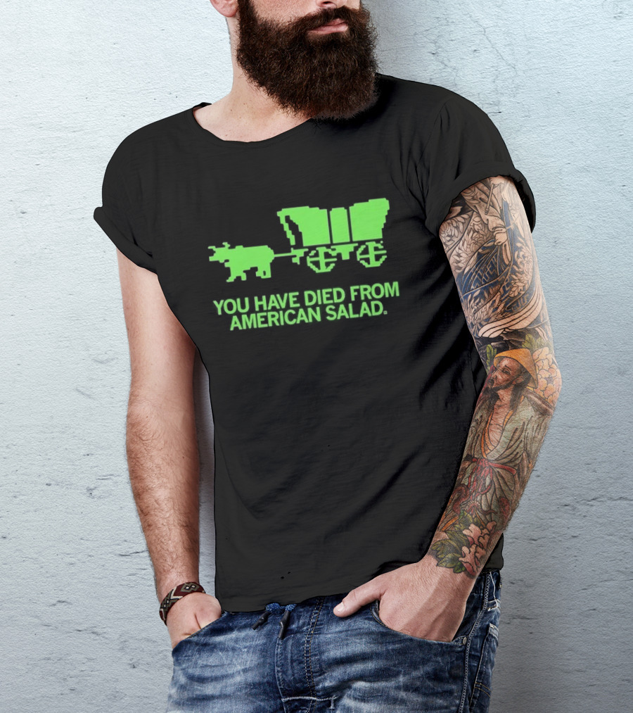 You Have Died From American Salad Ox Cart Retro Gaming Spoof T-Shirt