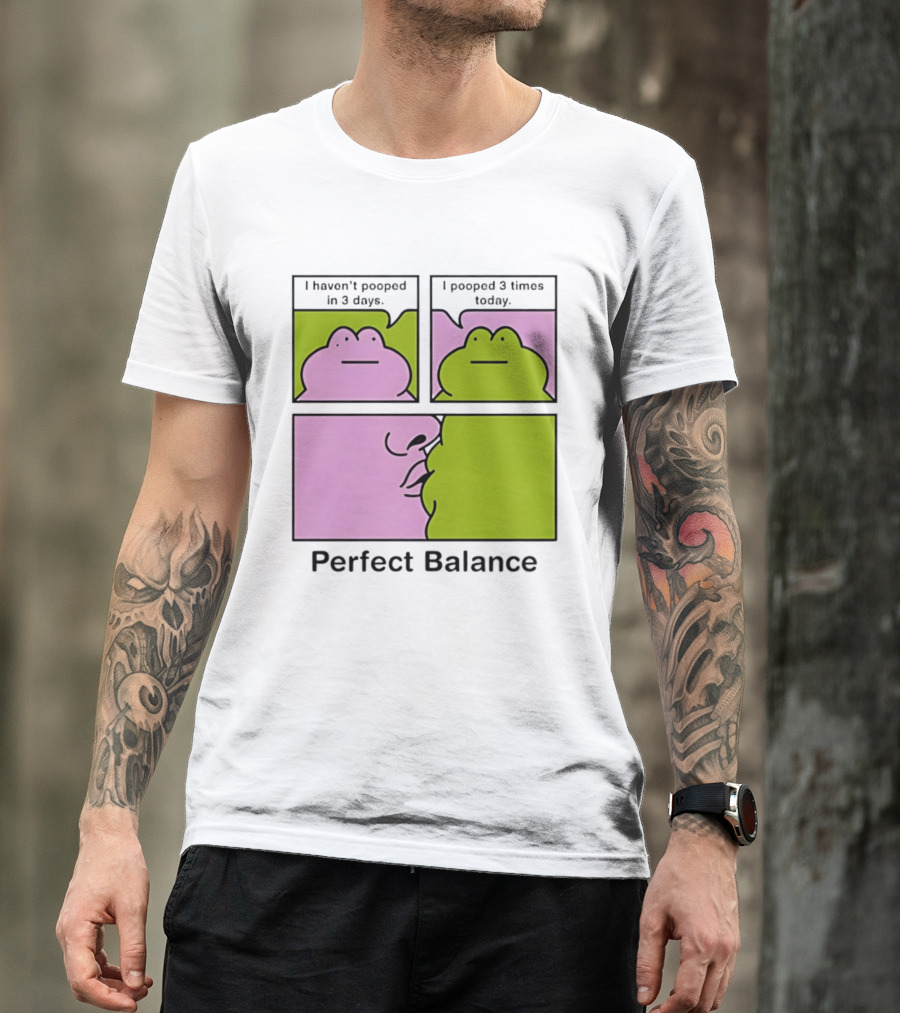 Perfect Balance Frog Meme I Haven't Pooped In 3 Days Pooped 3 Times Today T-Shirt