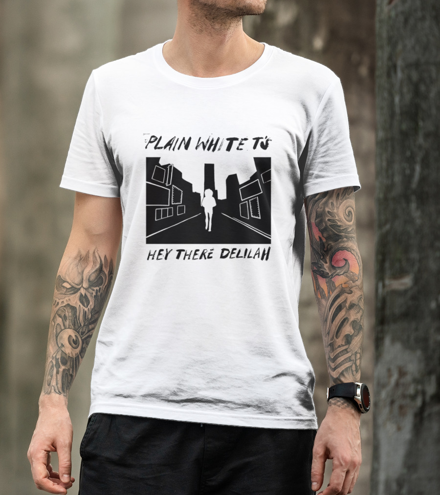 Plain White T's Hey There Delilah City T-Shirt