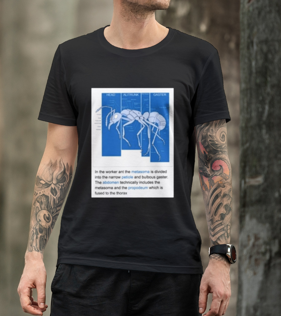 Head Alitrunk Gaster Metasoma Petiole Anatomy Of An Ant T-Shirt