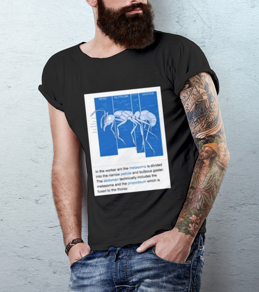 Head Alitrunk Gaster Metasoma Petiole Anatomy Of An Ant T-Shirt