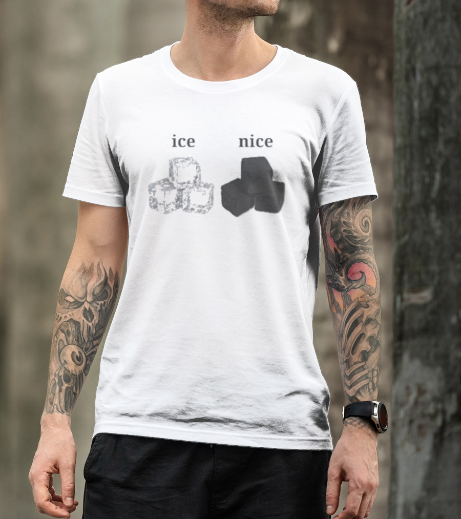 Ice Vs Nice Cubes Playful Word T-Shirt