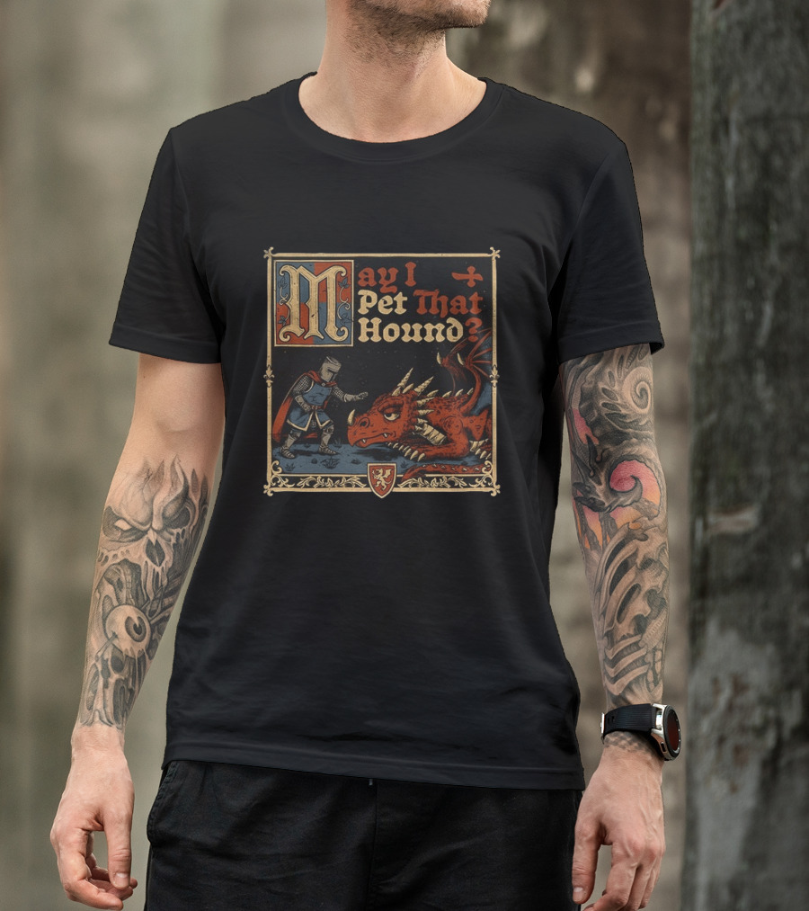 May I Pet That Hound Medieval Knight And Dragon Meme T-Shirt