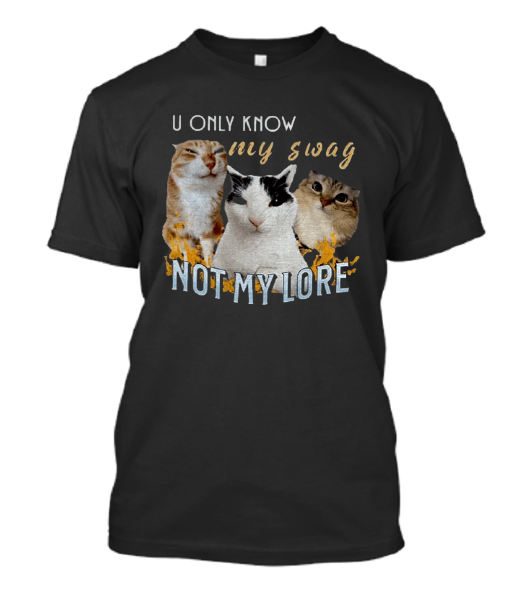 U Only Know My Swag Not My Lore Funny Cat Trio T-Shirt