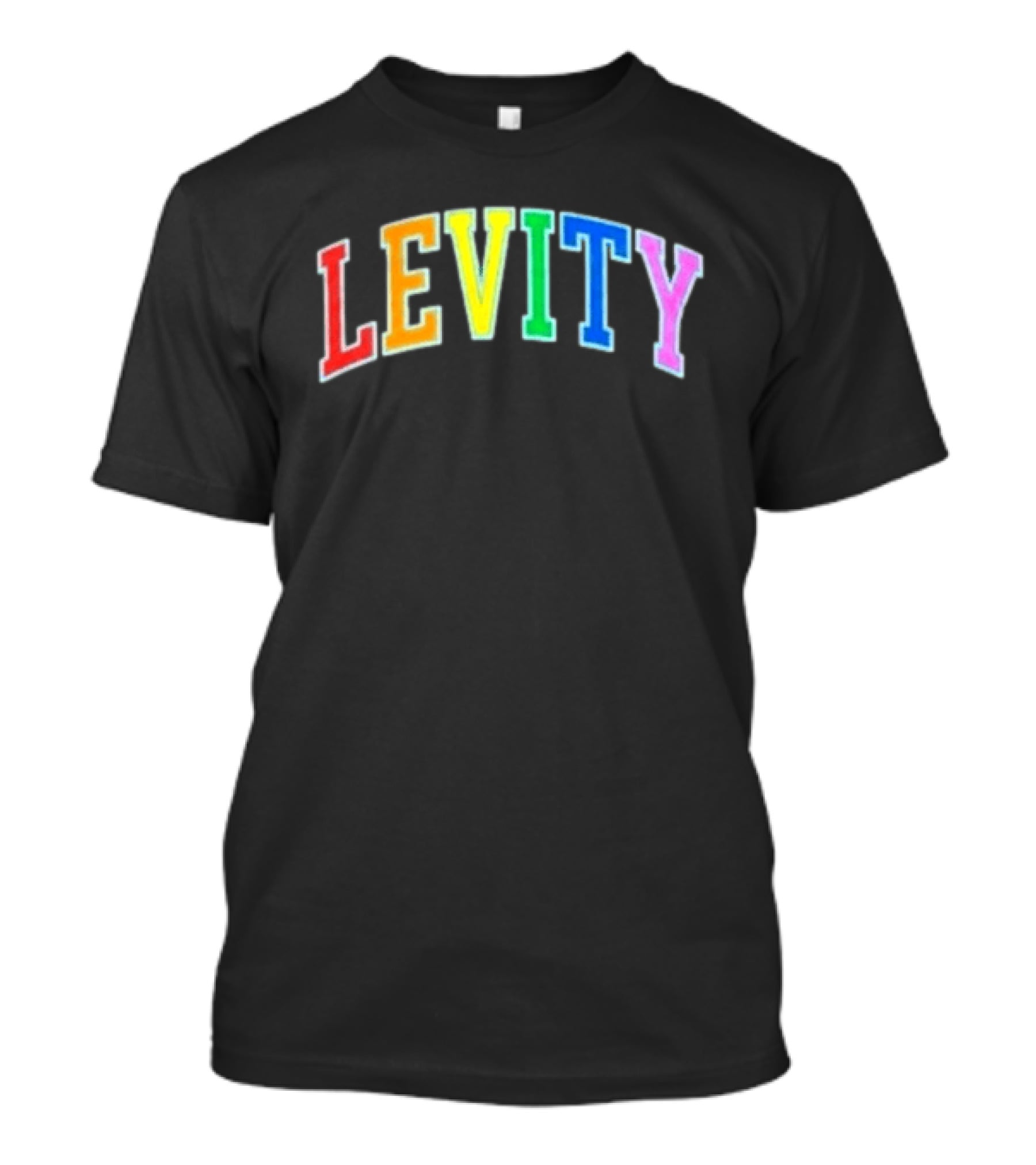 Levity You Will Now Experience Levity T-Shirt