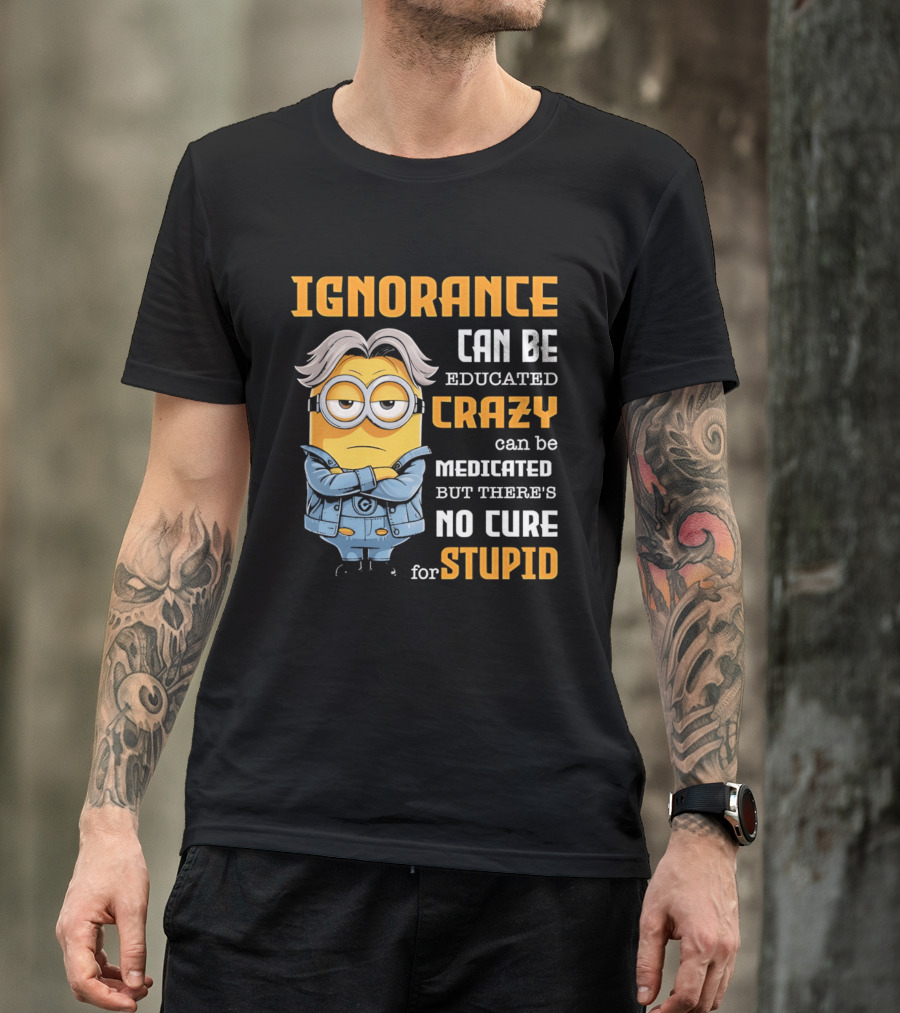 Ignorance Can Be Educated Crazy Can Be Medicated No Cure For Stupid Minion T-Shirt