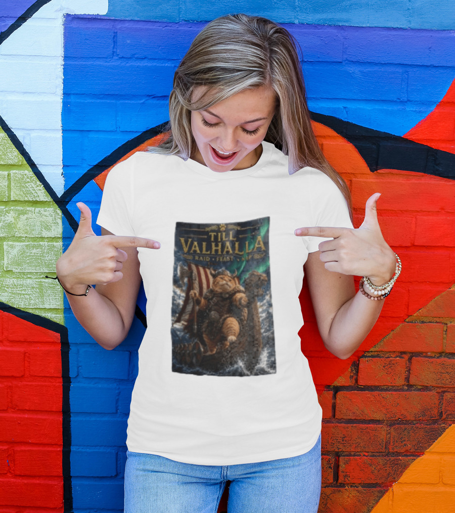 Till Valhalla Raid Feast Nap Viking Cat On Longship With Northern Lights T-Shirt