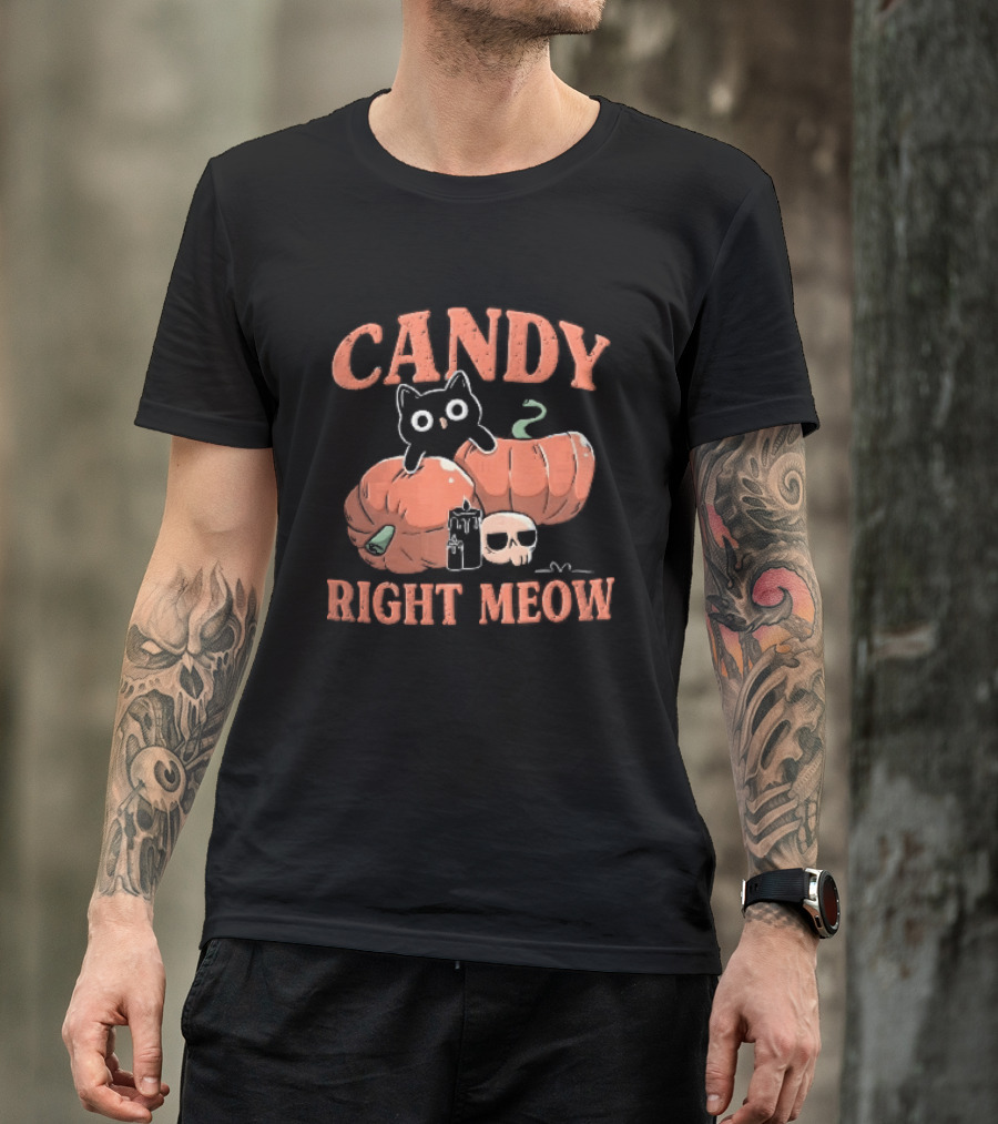 Candy Right Meow Black Cat Pumpkins Candles Skull Halloween T-Shirt