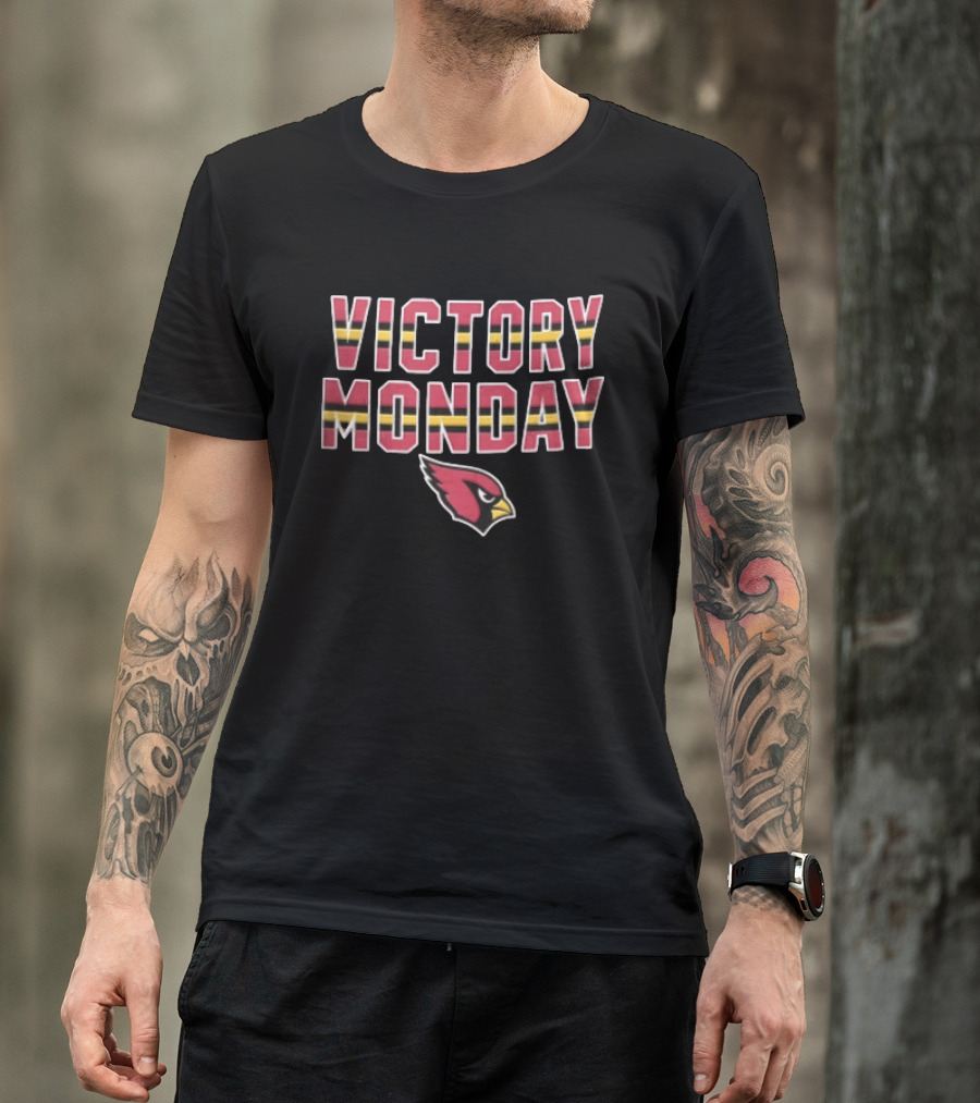 Victory Monday Arizona Cardinals Bird Head Striped T-Shirt