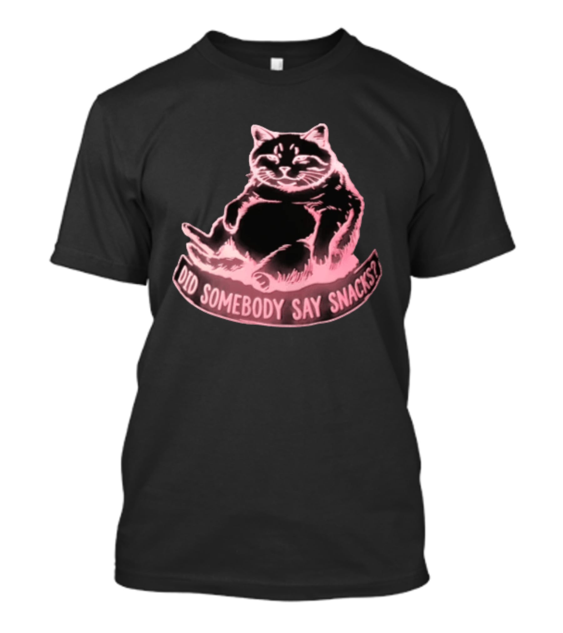 Did Somebody Say Snacks Fat Cat Neon Sitting T-Shirt